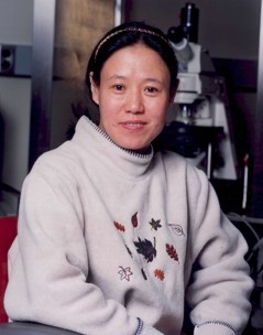 Meilan Zhao
